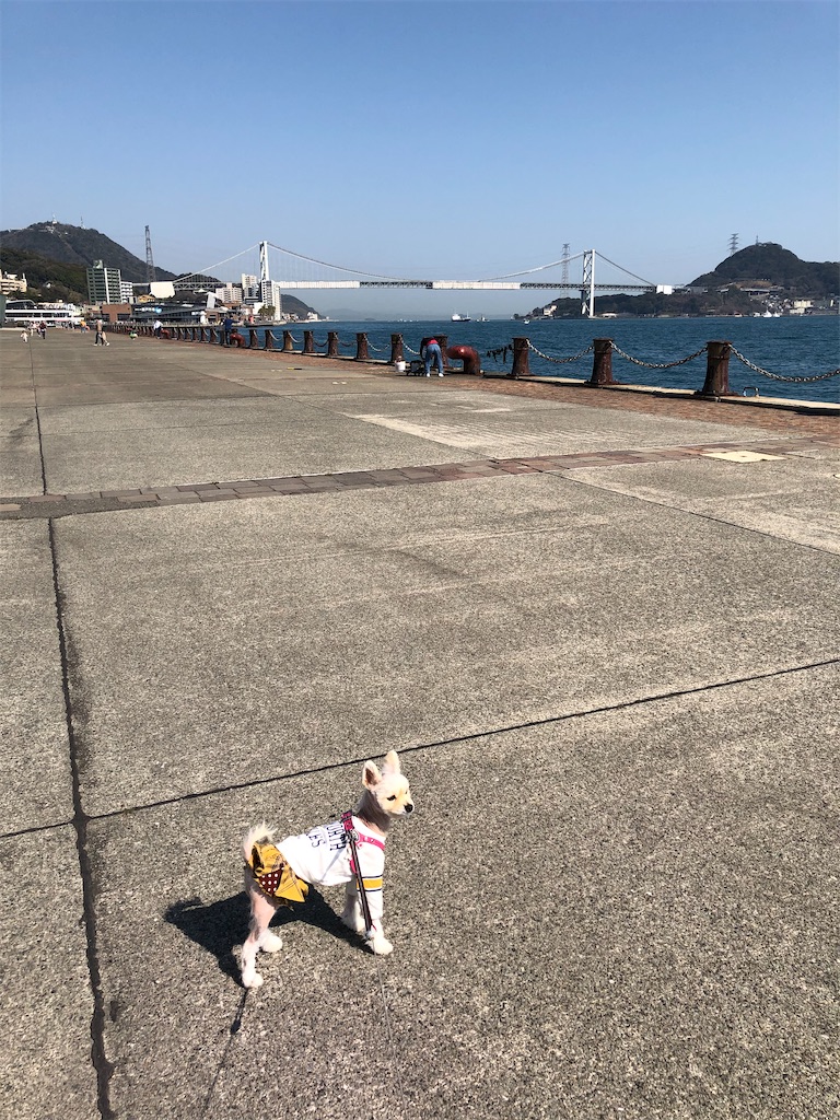 f:id:omasachang:20210221232411j:image