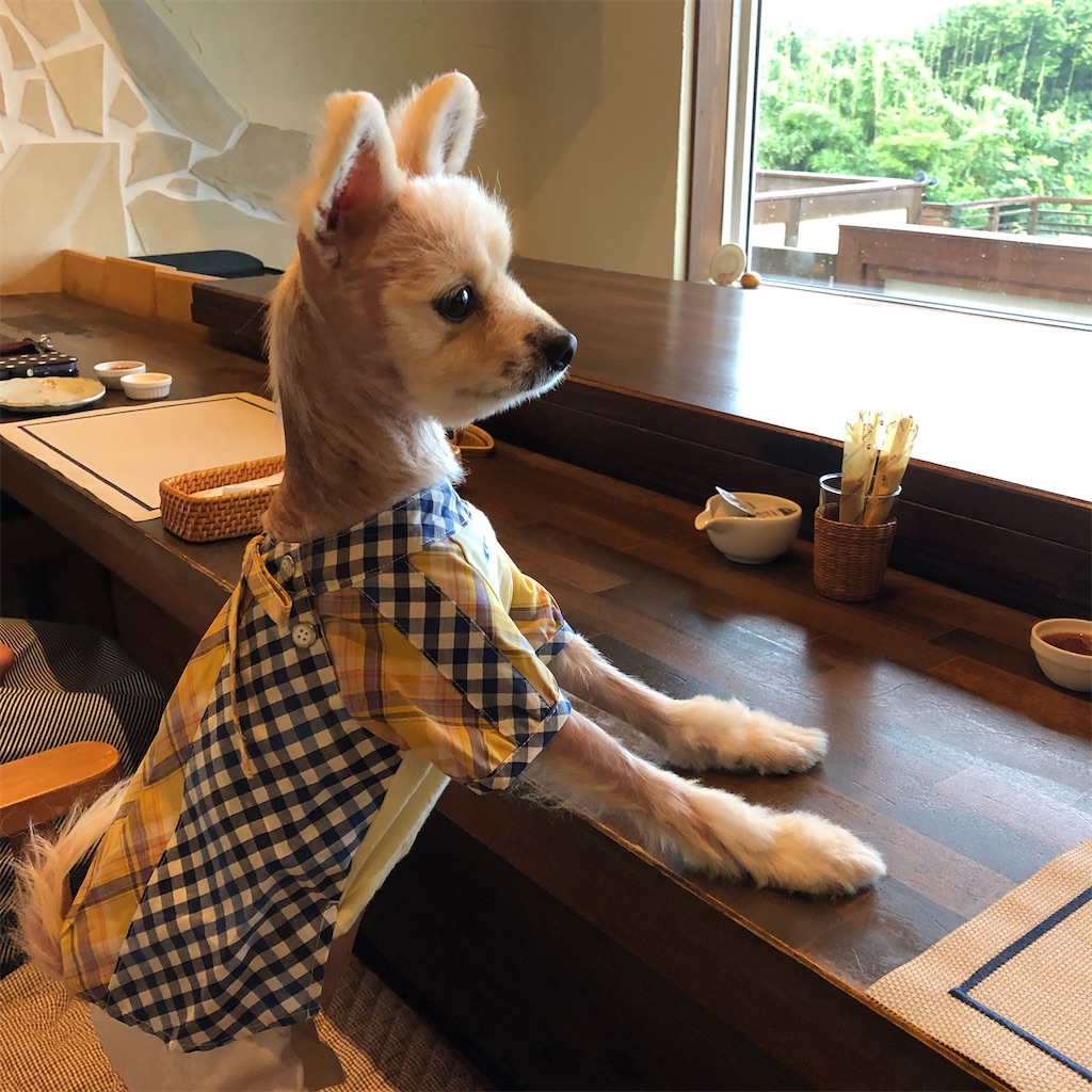 f:id:omasachang:20210723164456j:image