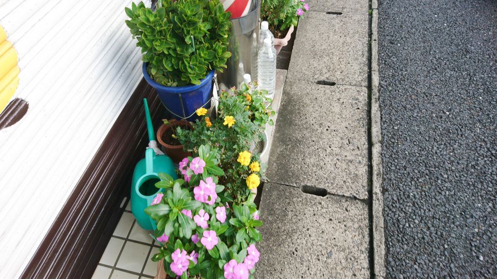 f:id:omayu888:20181019000835j:plain f:id:omayu888:20181019000835j:plain