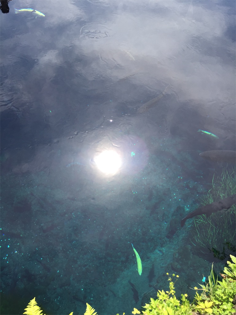 f:id:ombramaife:20200930224123j:image f:id:ombramaife:20200930224123j:image