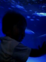 f:id:omcon:20090620151530j:image