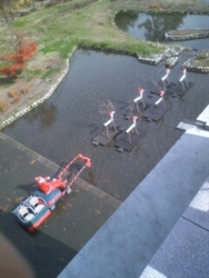 f:id:omcon:20091108105510j:image