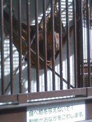 f:id:omcon:20091115130116j:image
