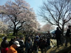 f:id:omcon:20100404102011j:image f:id:omcon:20100404102011j:image