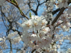 f:id:omcon:20100404104622j:image f:id:omcon:20100404104622j:image