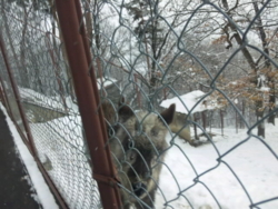 f:id:omcon:20110123110534j:image