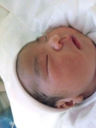f:id:omcon:20110612081319j:image f:id:omcon:20110612081319j:image