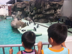 f:id:omcon:20110918120352j:image