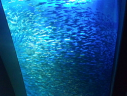 f:id:omcon:20111113111206j:image