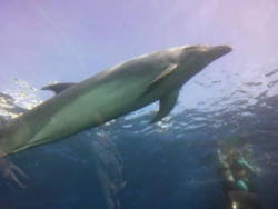 f:id:omcon:20111113114153j:image