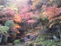 20131104101812