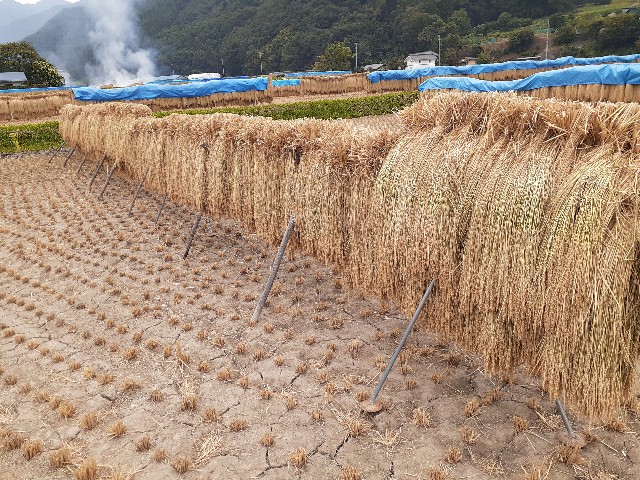 f:id:omcon:20190928213014j:image