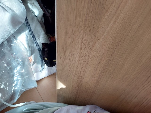 f:id:omcon:20211106232337j:image f:id:omcon:20211106232337j:image