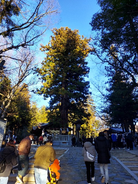 f:id:omcon:20230102235643j:image