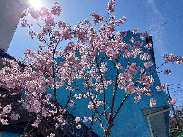 f:id:omcon:20230404225633j:image
