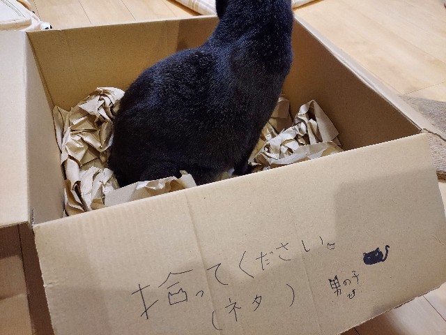 f:id:omcon:20230815224622j:image f:id:omcon:20230815224622j:image