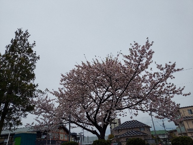 f:id:omcon:20250420225830j:image