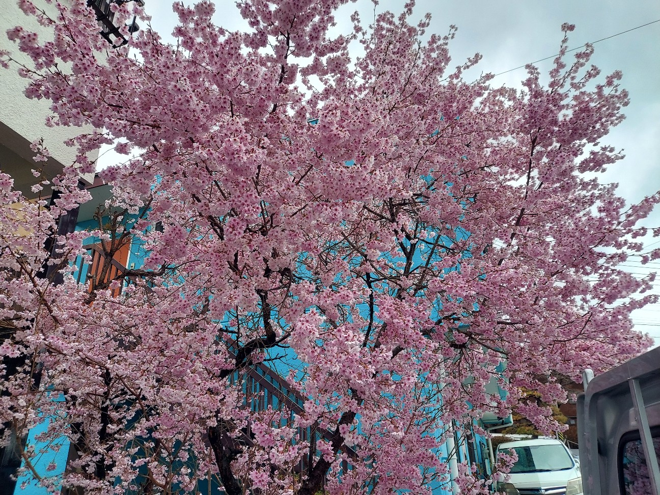f:id:omcon:20260411003358j:image
