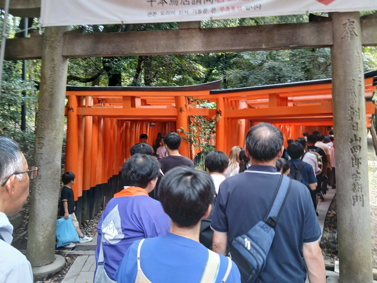f:id:omcon:20260913002251j:image f:id:omcon:20260913002251j:image