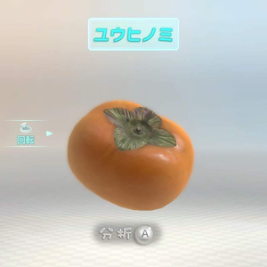 f:id:omemehikaru:20190522051630j:plain