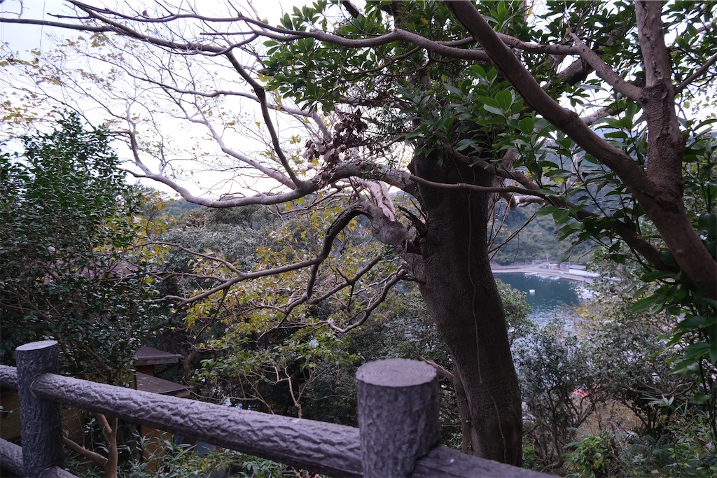 f:id:omen-panda:20211206211500j:image