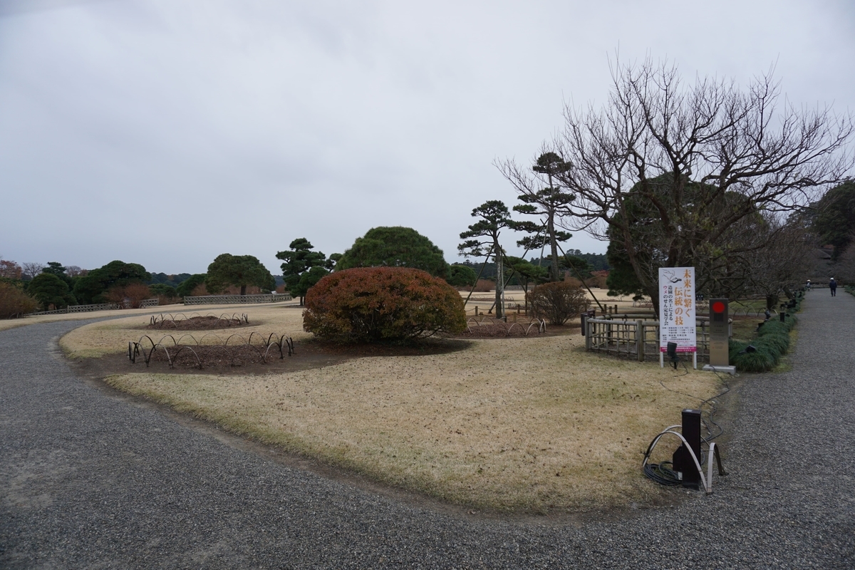 f:id:omericex:20200104195135j:plain