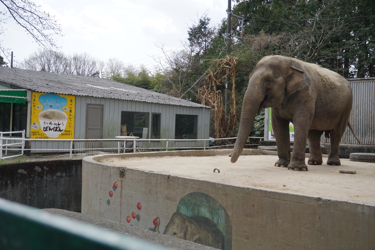 宇都宮動物園 ほのぼの動物園にb級の影 楽しく生きるへっぽこプログラマ
