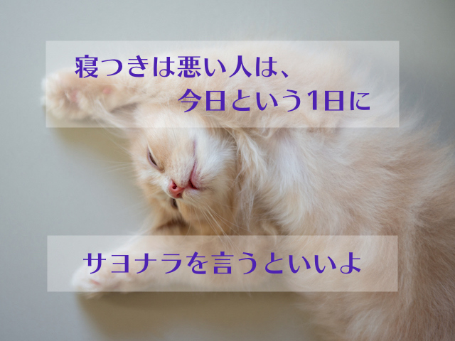 寝つきが悪い人は、今日という1日にサヨナラを言うといいよ