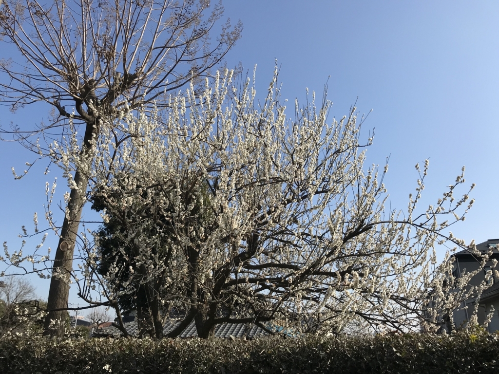 f:id:omiend:20180304091100j:plain
