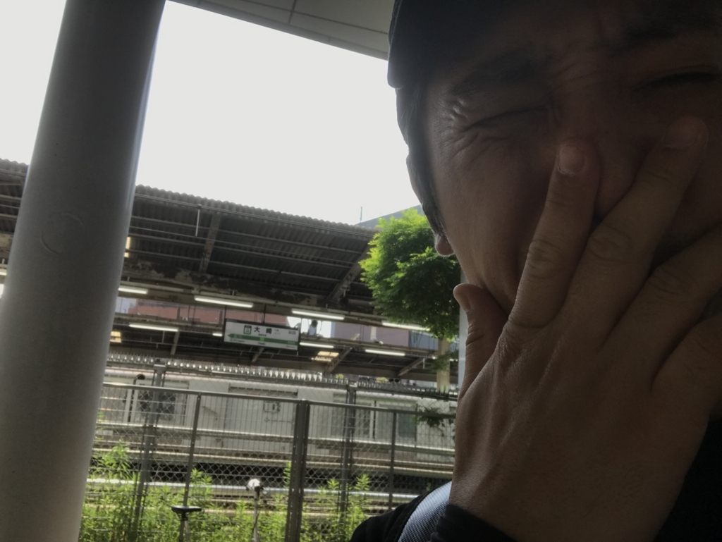 f:id:omiend:20180527130247j:plain