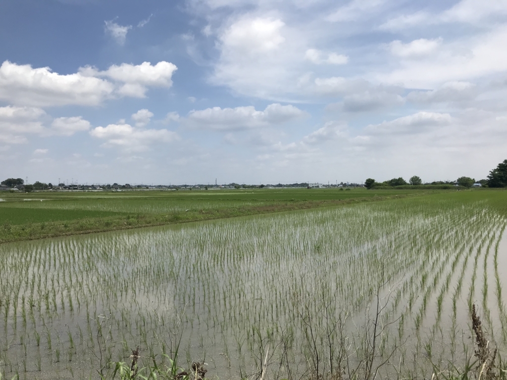 f:id:omiend:20180614114423j:plain