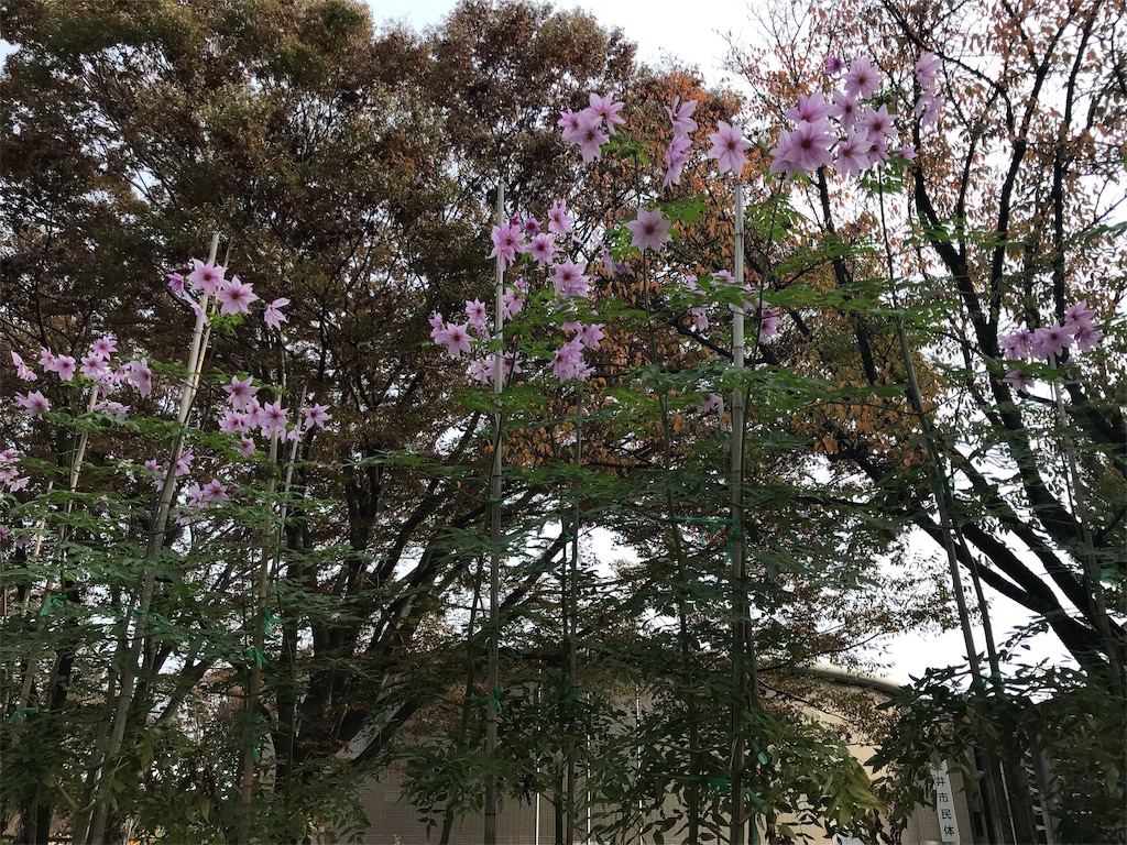 f:id:omiend:20181123225501j:image