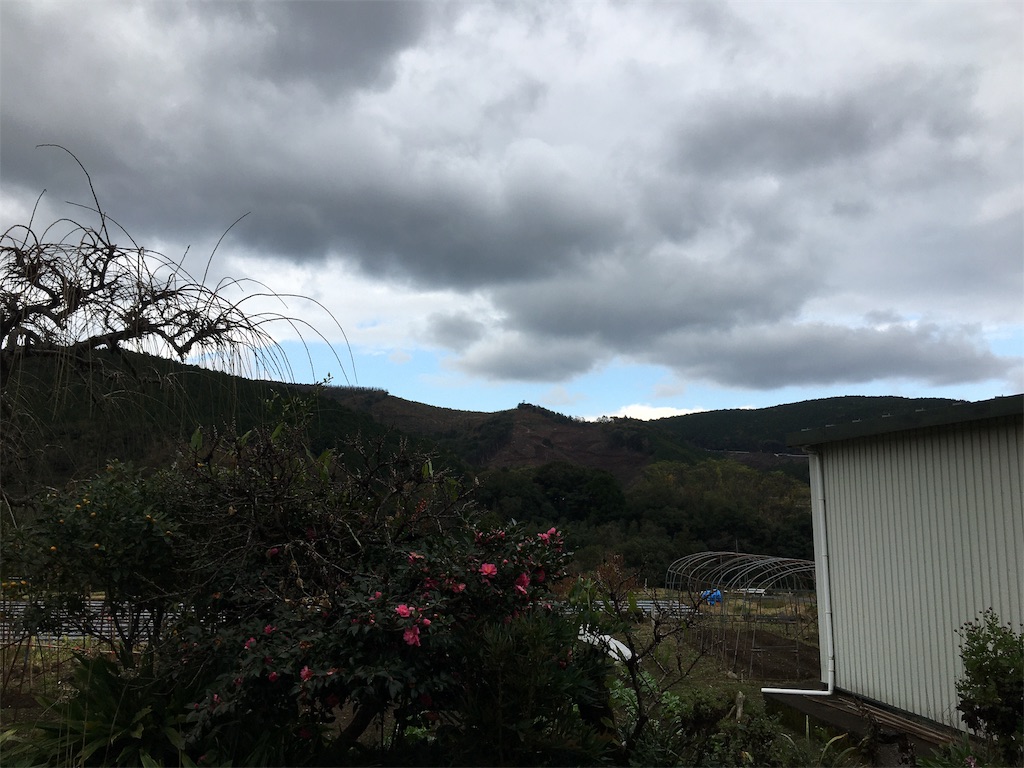 f:id:omiitootamadaisuki:20191202155715j:image f:id:omiitootamadaisuki:20191202155715j:image