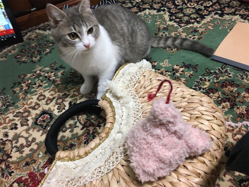 f:id:omiitootamadaisuki:20200211214757j:image f:id:omiitootamadaisuki:20200211214757j:image