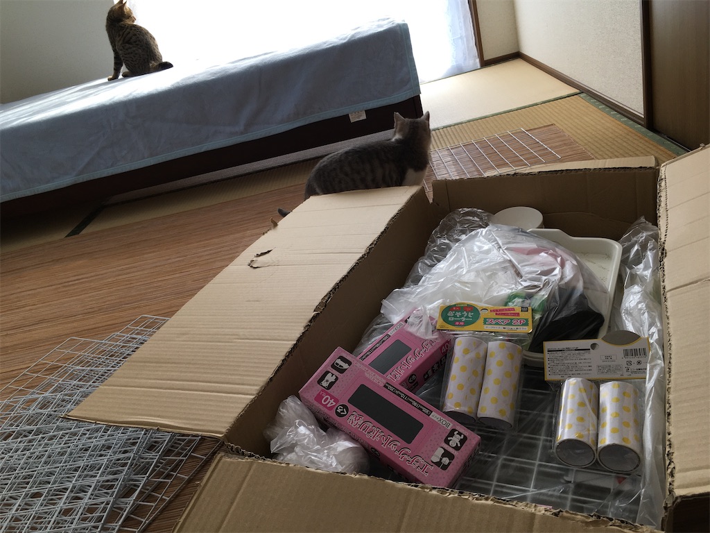 f:id:omiitootamadaisuki:20200221121123j:image f:id:omiitootamadaisuki:20200221121123j:image