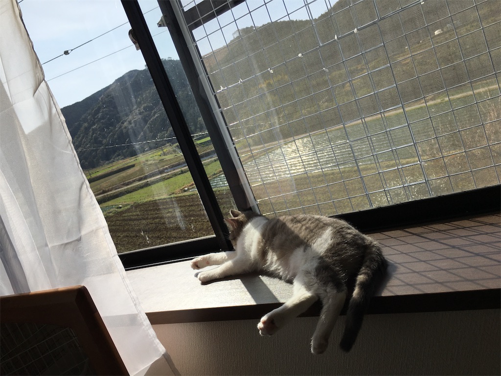 f:id:omiitootamadaisuki:20200221144732j:image f:id:omiitootamadaisuki:20200221144732j:image