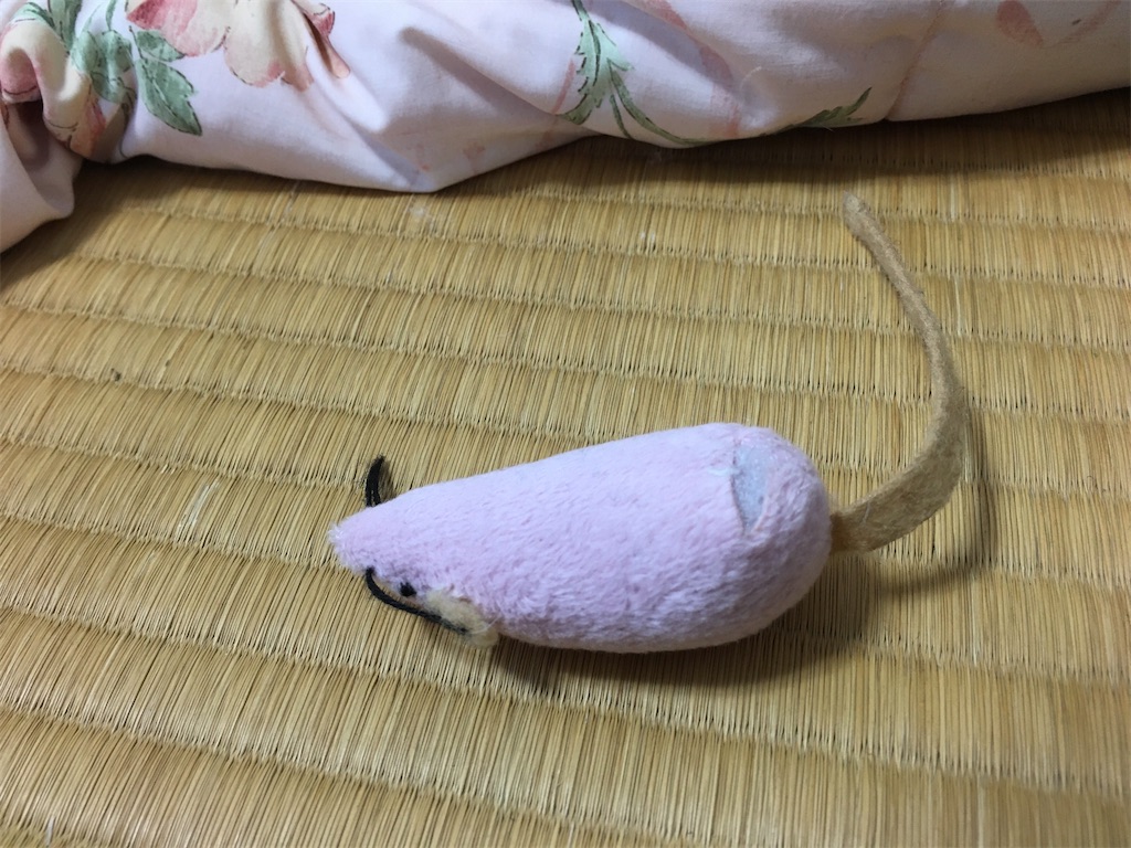 f:id:omiitootamadaisuki:20200412224857j:image f:id:omiitootamadaisuki:20200412224857j:image