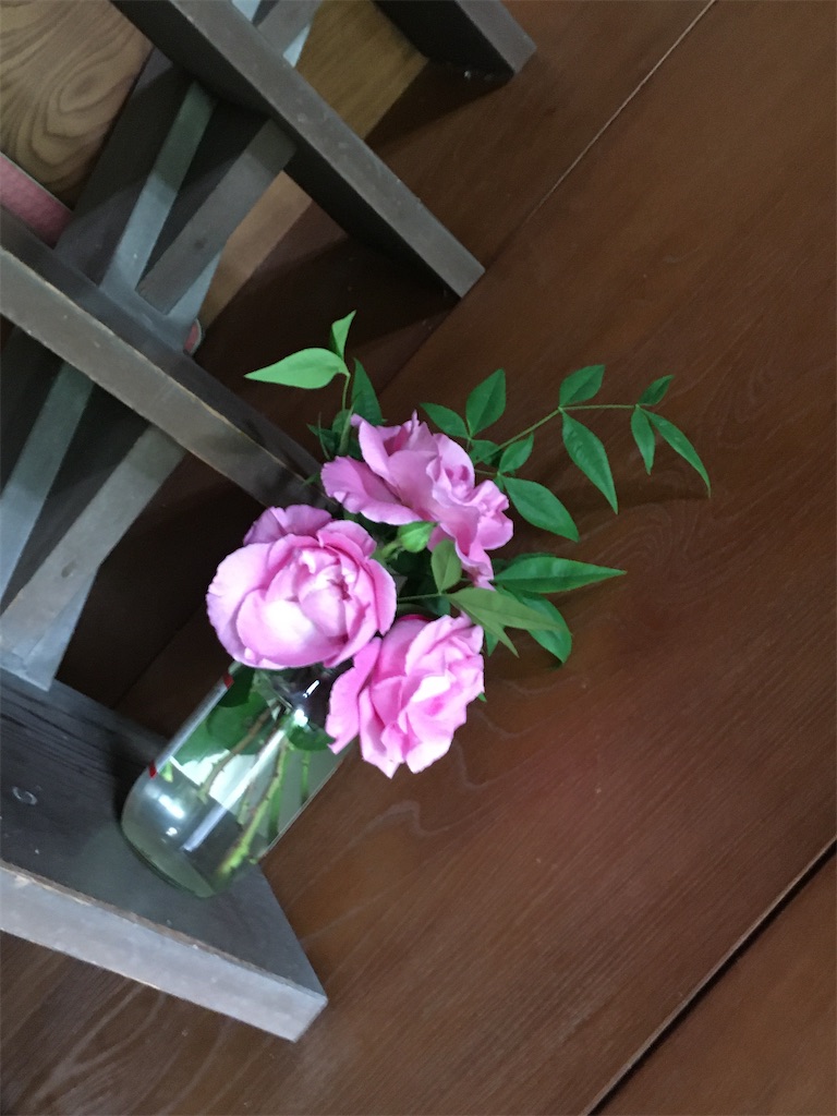 f:id:omiitootamadaisuki:20200507212723j:image f:id:omiitootamadaisuki:20200507212723j:image