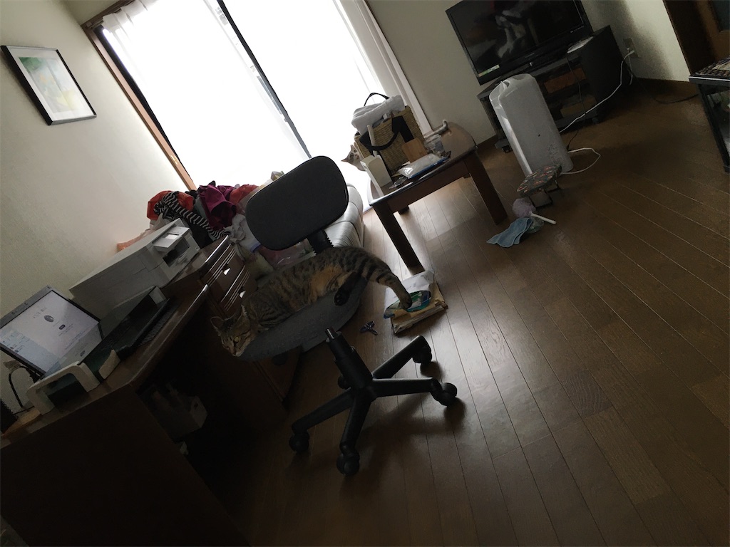 f:id:omiitootamadaisuki:20200616034527j:image f:id:omiitootamadaisuki:20200616034527j:image