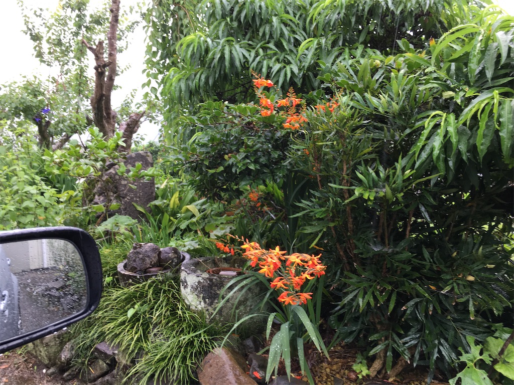 上半期の個人的な振り返りとおみぃの昔の詩 おみぃの裏山 上半期の個人的な振り返りとおみぃの昔の詩 おみぃの裏山