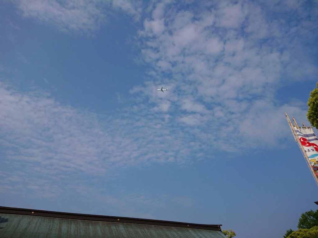 f:id:omikades:20180807112616j:plain f:id:omikades:20180807112616j:plain