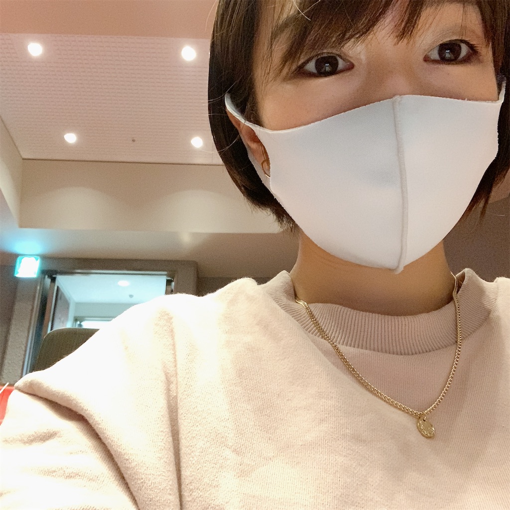 f:id:omimaruki:20201206211756j:image