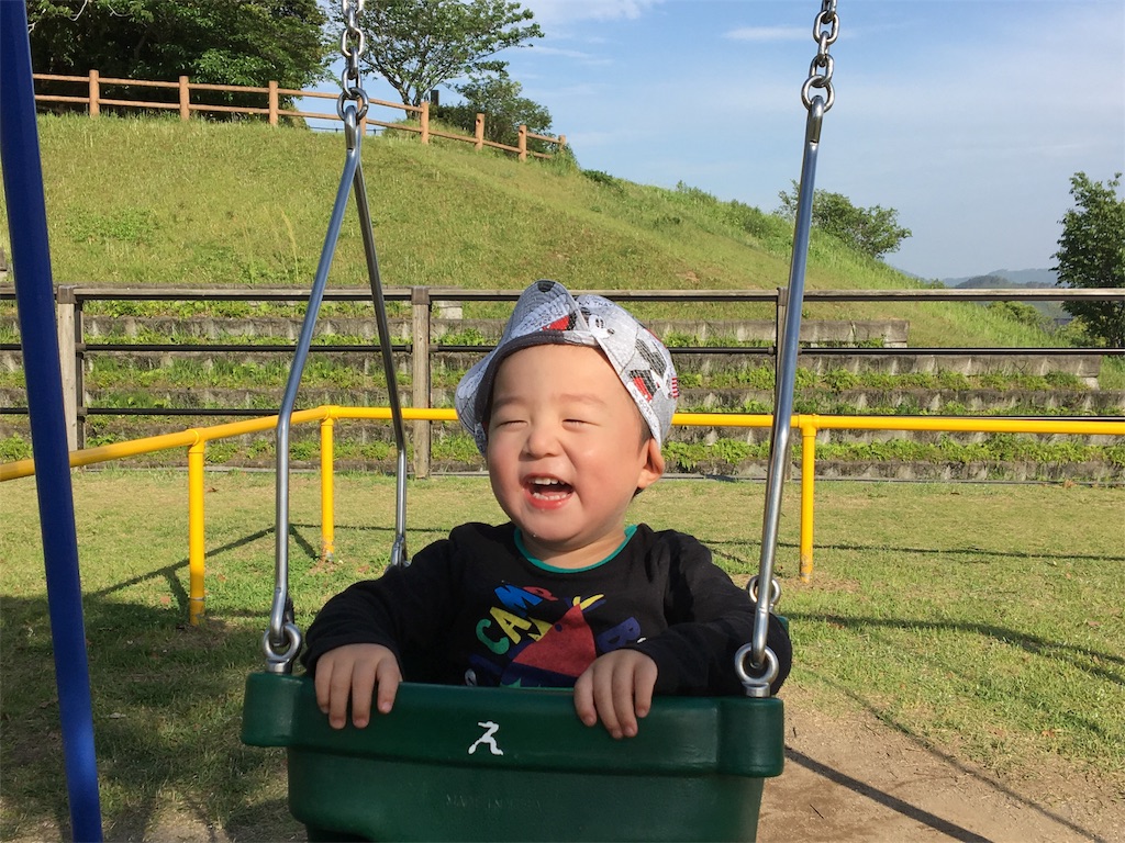 f:id:omipapa:20170508214657j:image