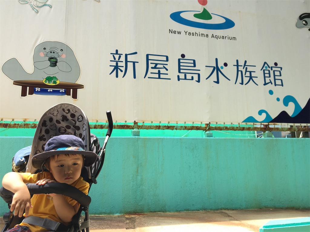 f:id:omipapa:20170806161315j:image