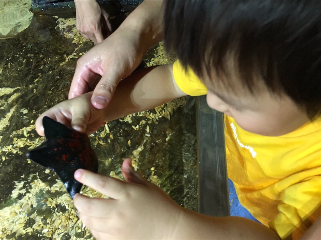 f:id:omipapa:20170806161514j:image