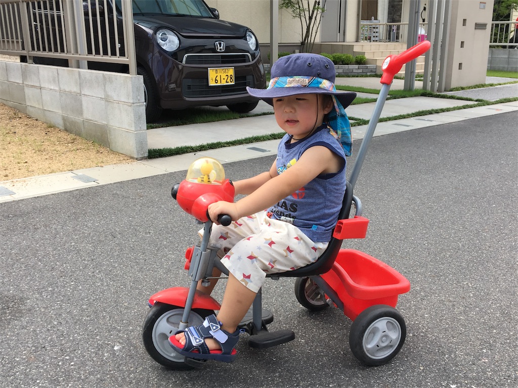 f:id:omipapa:20170806164747j:image