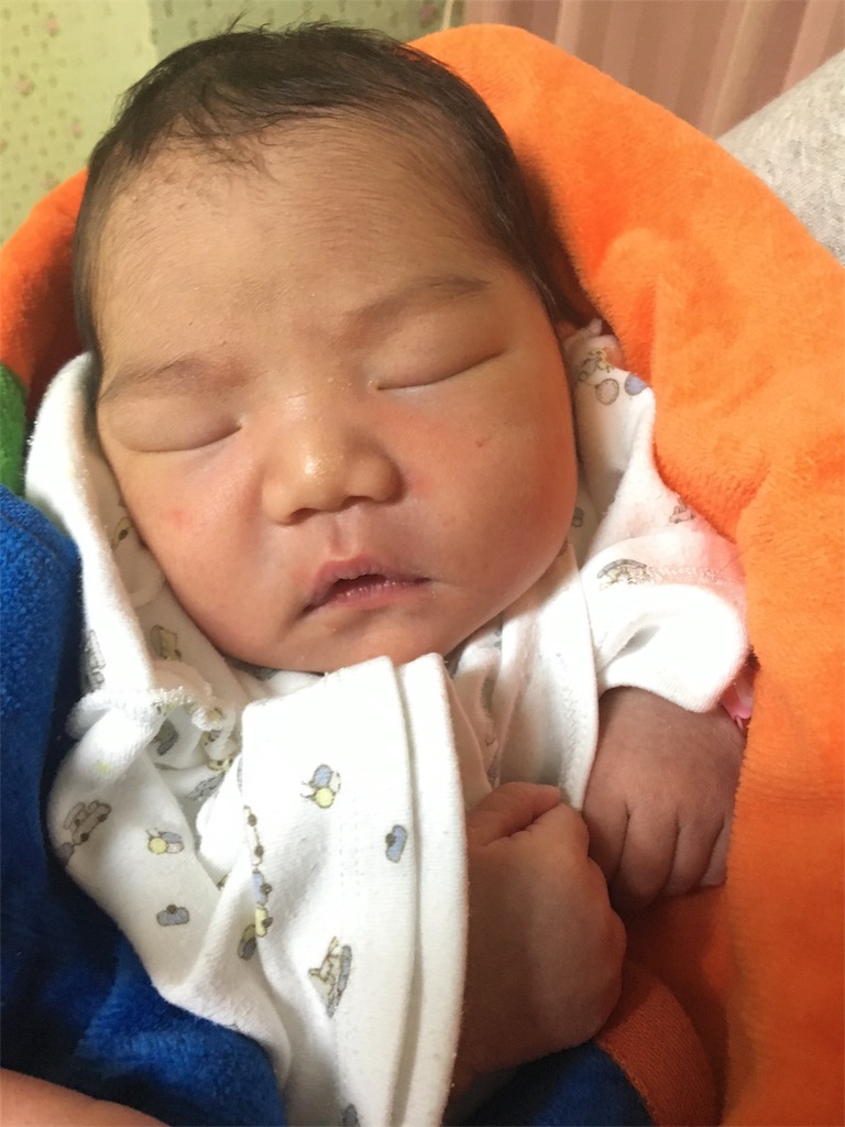 f:id:omipapa:20180207085357j:image