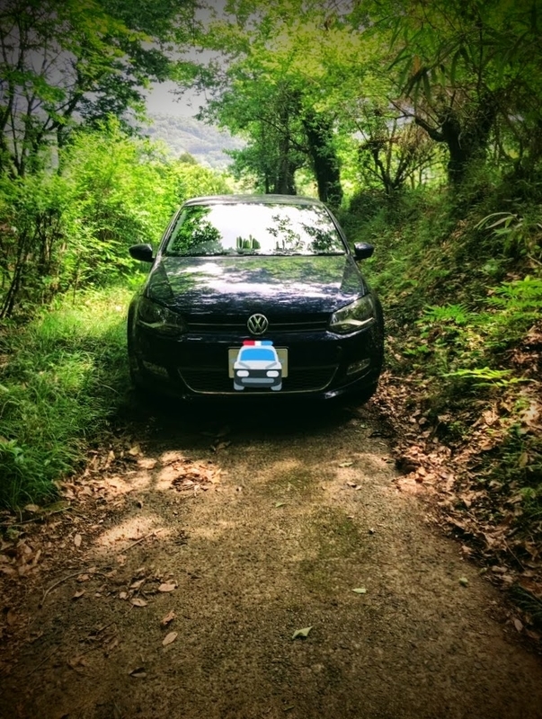 f:id:omisoblog:20200615122231j:plain