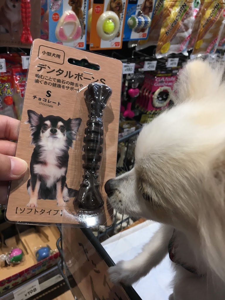 f:id:omisoblog:20201215232657j:plain