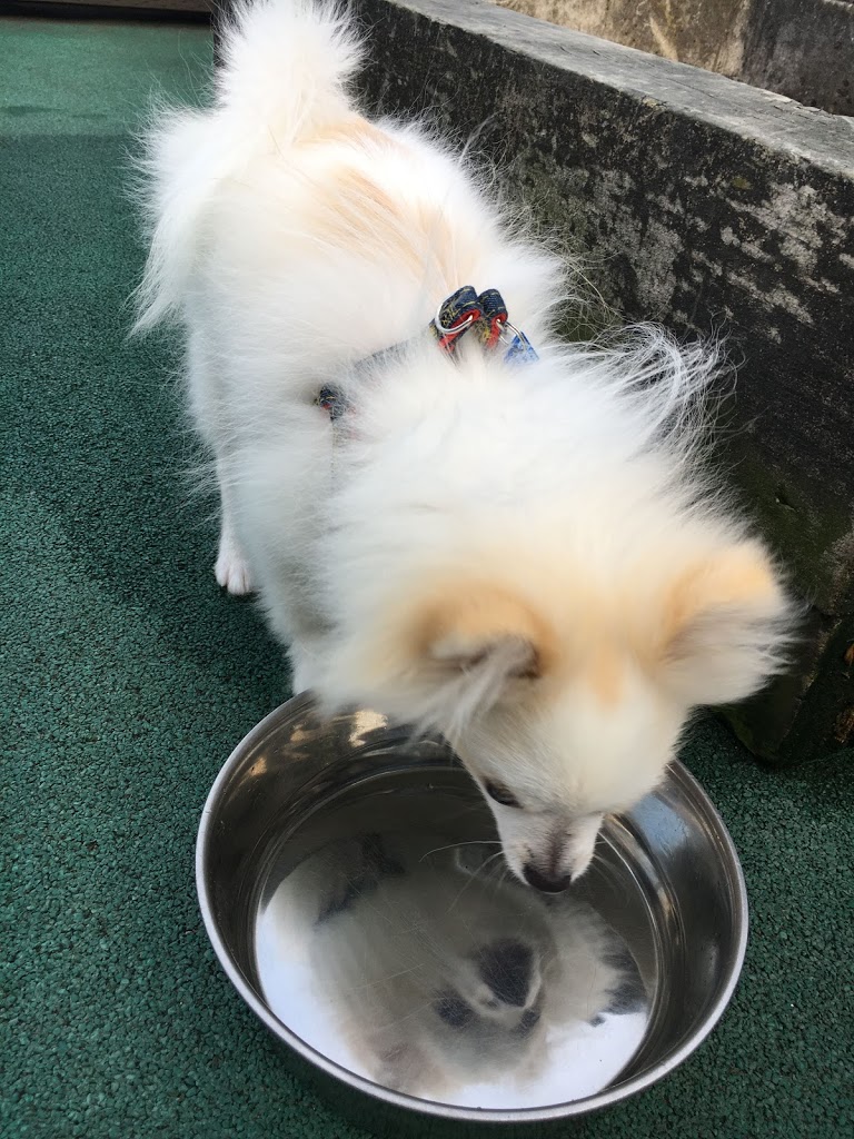 f:id:omisoblog:20201215232713j:plain